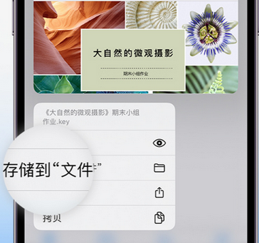 复兴apple维修中心分享iPhone文件应用中存储和找到下载文件