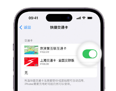 复兴apple维修点分享iPhone上更换Apple Pay快捷交通卡手绘卡面 