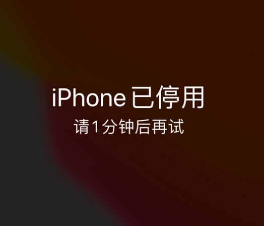 复兴苹果手机维修分享:iPhone 显示“不可用”或“已停用”怎么办？还能保留数据吗？ 