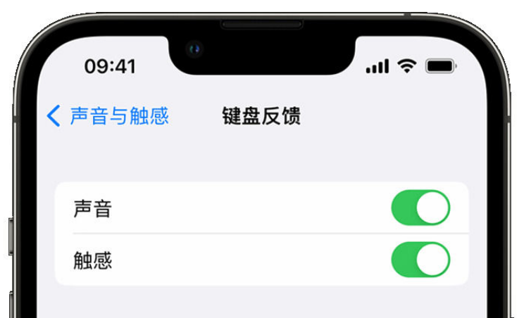 复兴苹果手机维修分享iPhone 14触感键盘使用方法 