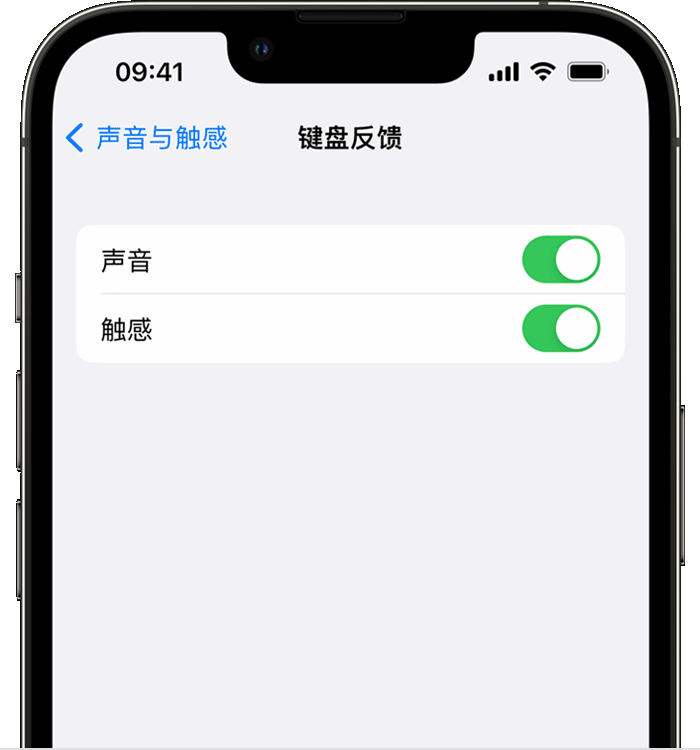 复兴苹果14维修店分享如何在 iPhone 14 机型中使用触感键盘 