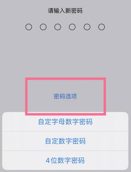 复兴苹果14维修分享iPhone 14plus设置密码的方法 