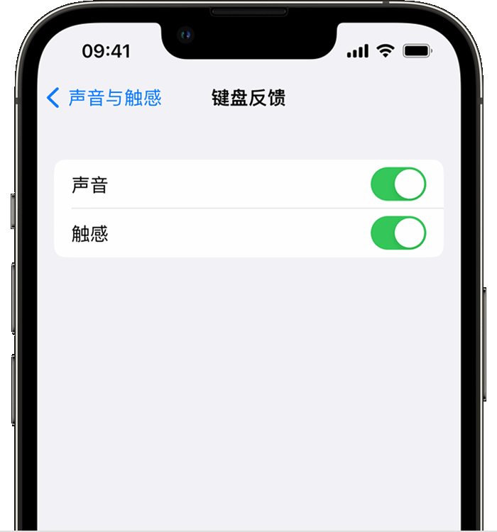 复兴苹果14维修分享iPhone 14 系列机型如何开启键盘声音或触感反馈 