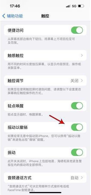 复兴苹果手机维修分享iPhone手机如何设置摇一摇删除文字 