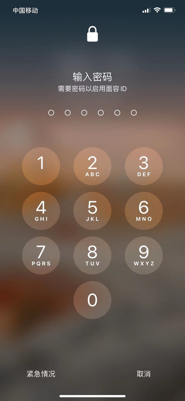 复兴苹果13维修分享iPhone 13加强锁屏功能有什么用 