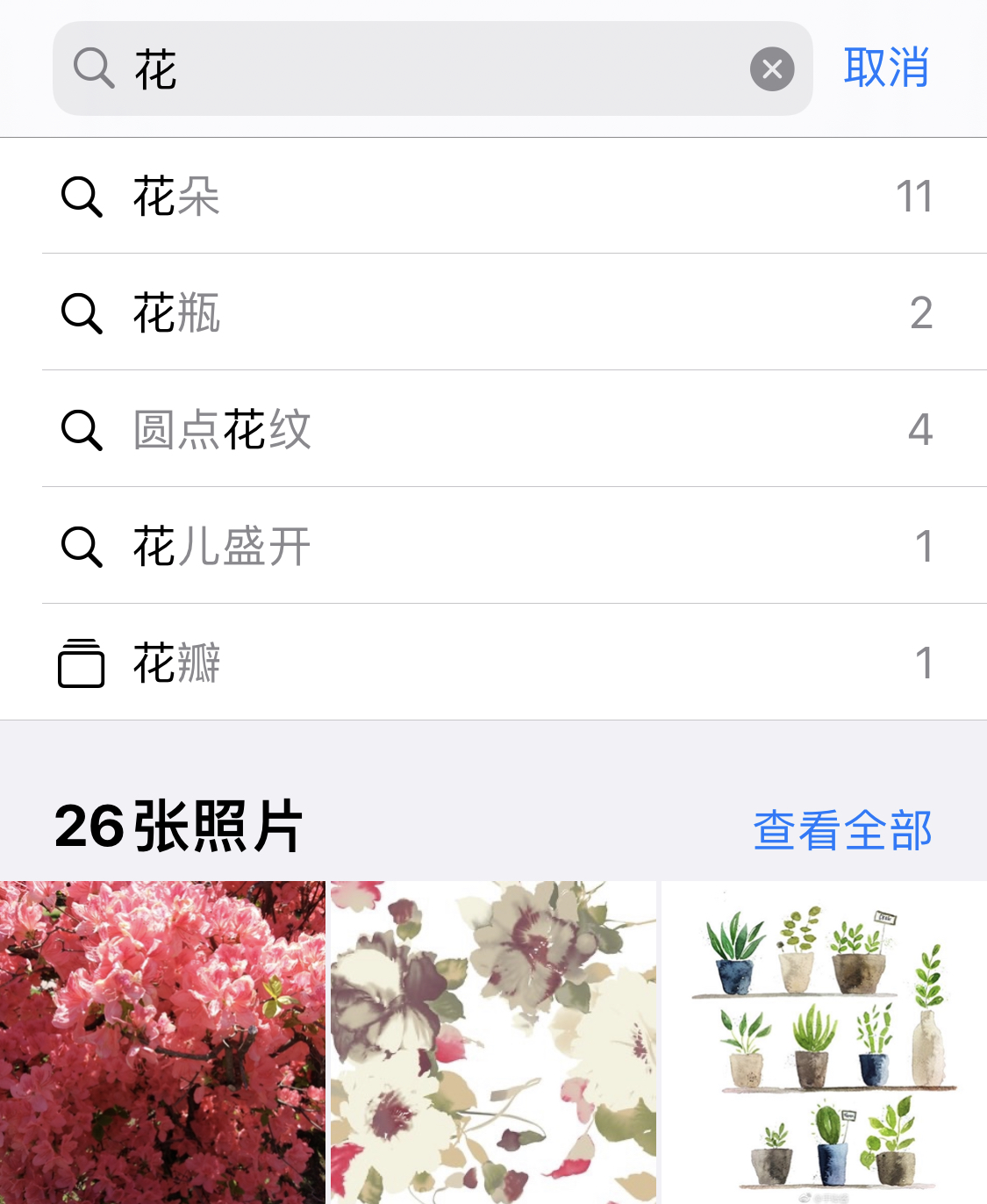 复兴苹果手机维修分享iPhone 小技巧 