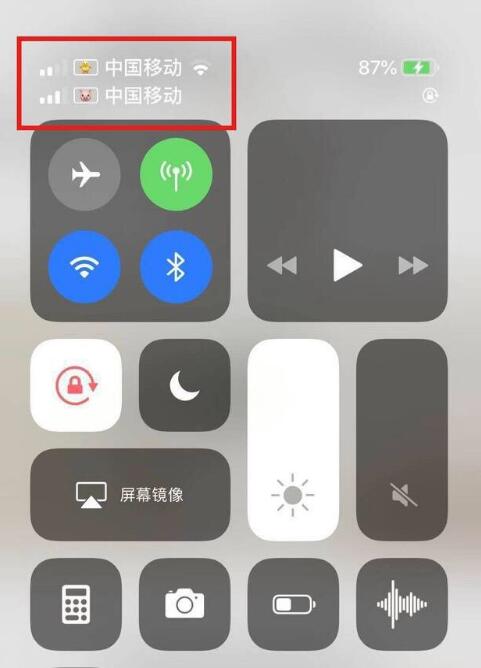 复兴苹果手机维修分享为 iPhone 12 双卡设置标签 
