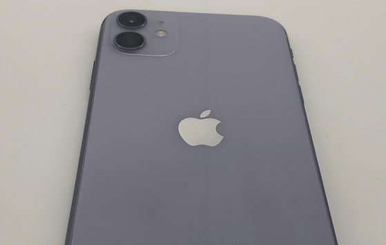 复兴苹果11系统维修分享iPhone11手机系统崩溃无法开机如何解决